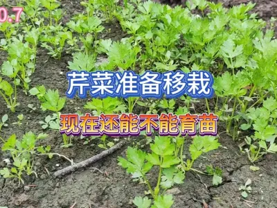 �۲˳����������������ڻ��ɲ������������� #��ũ #�ֲ� #ԭ����Ƶ #��ũ������ #ݪֲС���� 