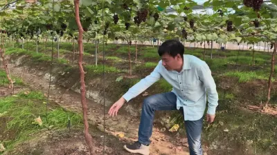 ��ˮλ������������