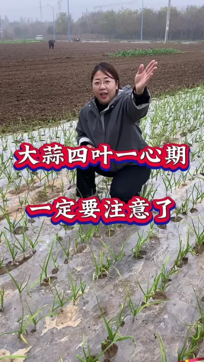 #����#����ݪֲ#����߲�