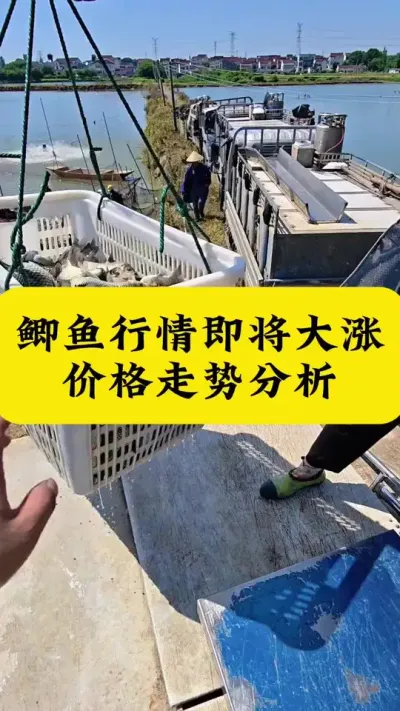 �������鼴������#����#������ֳ#����#����#ˮ����ֳ