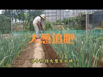 ��׷���Ϸʵ����ڿ���׷ʩ�л���