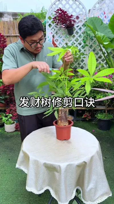 ����޼��ھ�#԰������ #����С֪ʶ