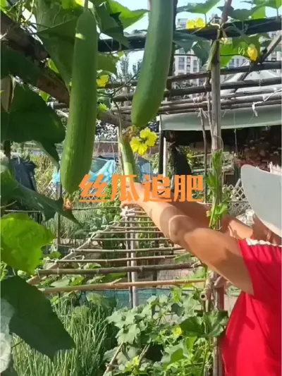 ˿��Ч��ǰ������׷��#˿��׷��