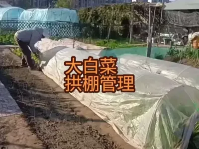 ��ȷ�˽����ڴ���Ϲ�����������