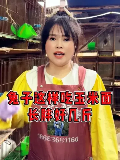 ����#������ #�������� #�������ֿ������߷ֿ����� #��ũ��ֳ