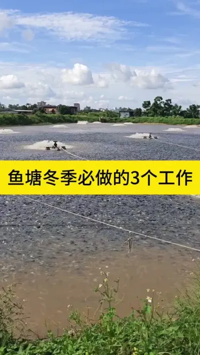 ��������������3������#����#����#ˮ����ֳ#ˮ����#ˮ��ʵʱ