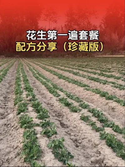 花生第一遍套餐配方分享，花生高产配方！#花生 #花生高产种植 #传播农业小知识 #花生高产三遍药配方 #三农种植