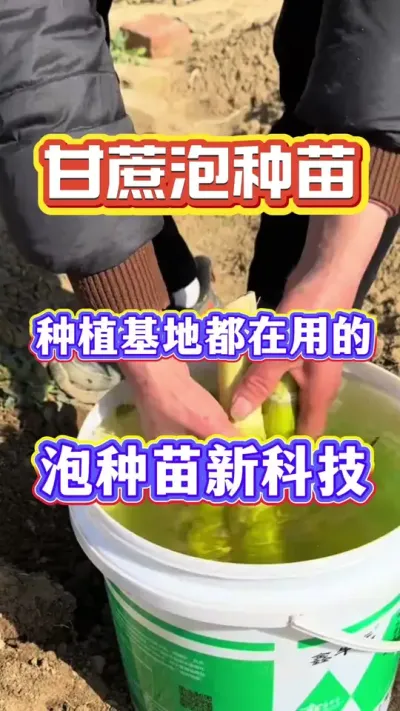 ������Ϊ�����ѿ����������ˮ��������������ǣ�汻������ֻ�������Ĵ���ݪֲ������ĬĬ��ʹ�ã�#����ݪֲ#�������