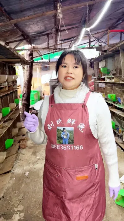 ���Զ�����������Ҫ���ӵ���ǰ��ϵ��Ŷ #���� #������ #��ũ #����