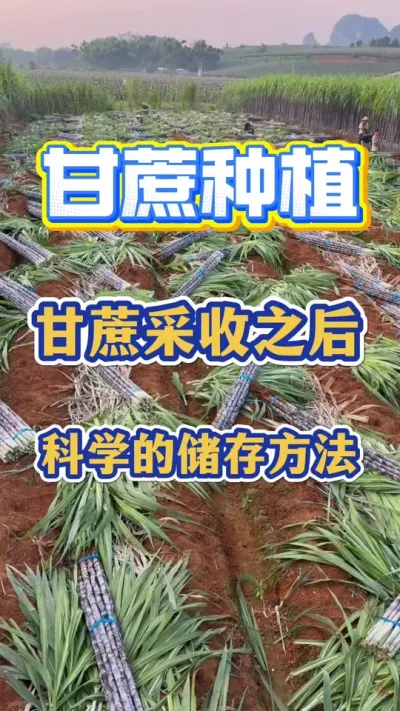 �����ѧ���淨��������յĿ�ѧ����Ҫ��#����ݪֲ#�������#����