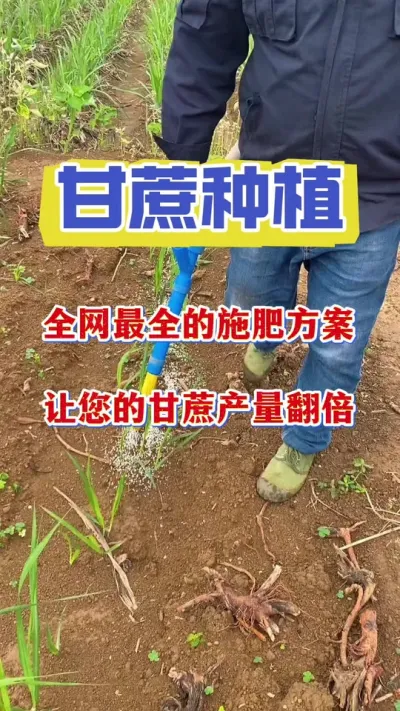 ��������Ҫ������ҩ���ö�ʱ���������#����ݪֲ #������������ #����ν�