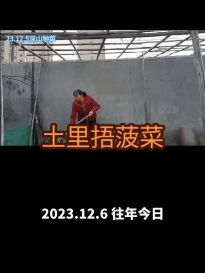 �������������沤�ˣ�2023�꣩