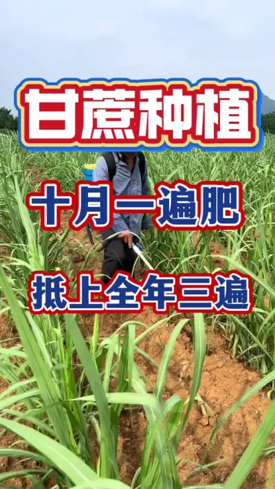 ����ʮ�·�һ������ֹ����������#����ݪֲ#����ʩ��#����