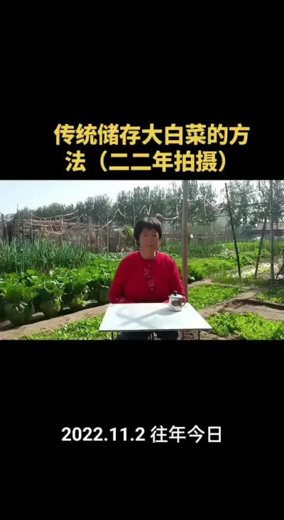 �Ű�������ȷ�˵�Ҫ�죨2022�꣩