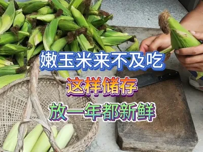 �ֵ����׶���ȱ������ô����ֻ��Ҫ������ӵ���������һ�궼���� #��ũ #��ũ������ #ԭ����Ƶ #��ʳ #�������� 