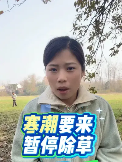 ��������������ͣ����#����Ԥ�� #����ũҵ֪ʶ��ũ���������� #�����������Ļ���