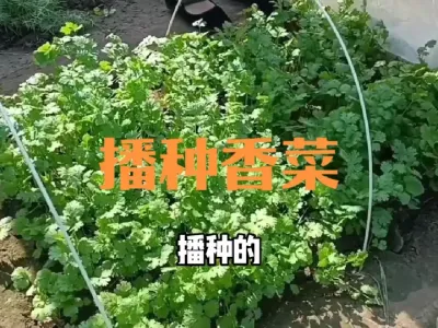 ���ղ������#���