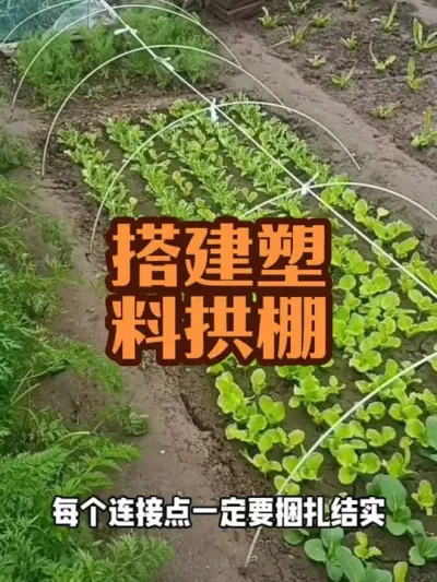 �����С���Ϲ���