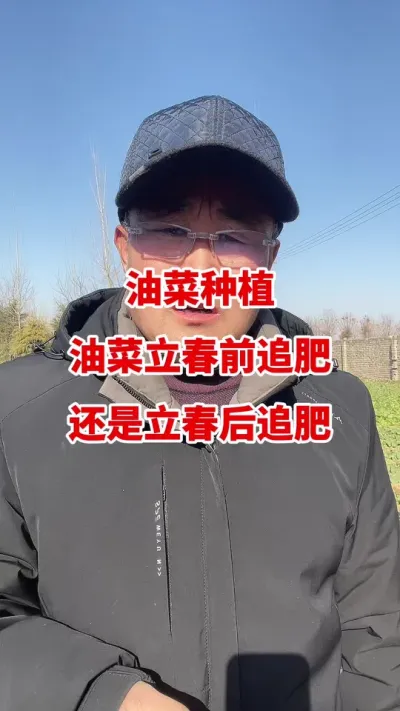 �Ͳ�ݪֲ�Ͳ�����ǰ׷���վ�������׷��#�Ͳ�ݪֲ #�Ͳ�ݪֲ���� #�Ͳ˸߲� #�Ͳ�����