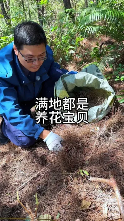 养花的好东西  #种花 #养花小知识