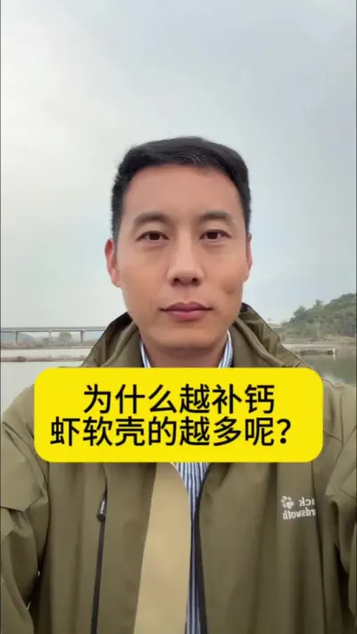 ΪʲôԽ����Ϻ���ǵ�Խ����#��Ϻ��ֳ #�����׶�Ϻ #��Ϻ�� #������Ϻ #�������