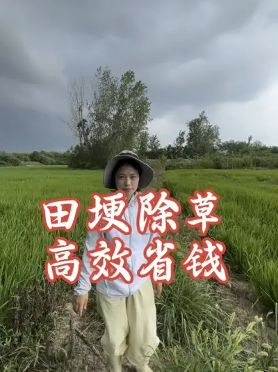 ���﹡ʡǮ��Ч������#����ũҵ֪ʶ��ũ���������� #�����������Ļ���