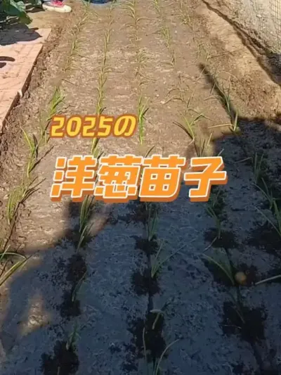 �����������������ʱ�估��С��׼