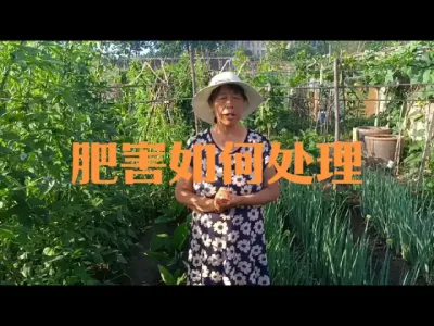 ׷ʩ��Һ�����ʺ���������#�ʺ�