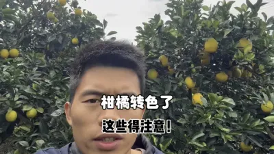 ��ֵ����תɫ�����⼸����Ҫע�أ� #��ũ #ũҵݪֲ #����ݪֲ #�������� #��֩�� 