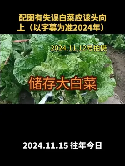 ����¶��������ȷ��Ҫ��֮����2024�꣩