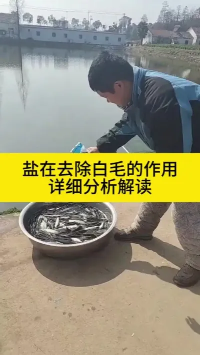 ��ȥ����ë��������ϸ�������#�ĸ�������ֳ#����#����#ˮ����ֳ#ˮ����