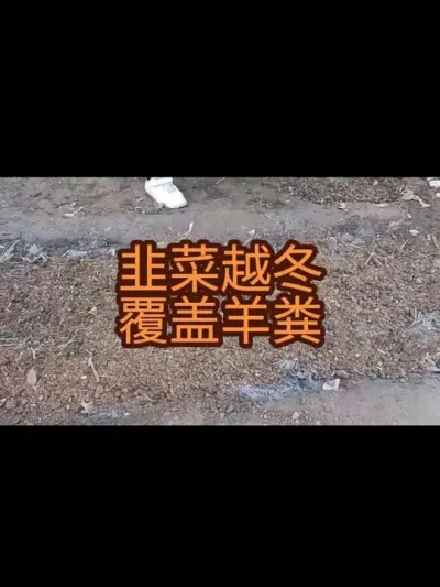 �²�Խ����������ľ�Һ�����Ҫ��2024�꣩