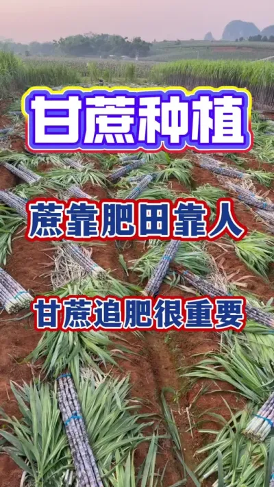 ũ����Ƶǧ��������������˷������ָ�����Ҫ�������ʩ�ʺ�Ҫ��#����ݪֲ#����ʩ��#����