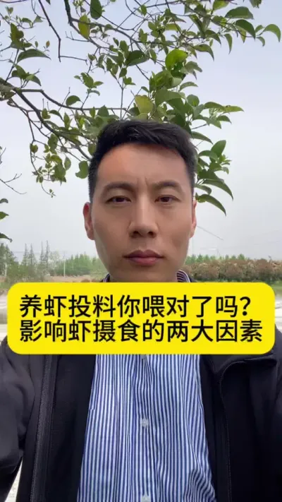 养虾投料你喂对了吗？影响虾摄食的两大因素#南美白对虾 #工厂化养虾 #冬棚养虾 #小棚养虾 #创作灵感