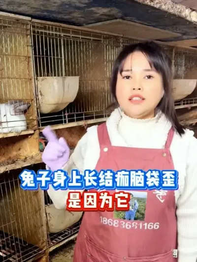 #������ #�������ֿ������߷ֿ����� #�������� #��ũ