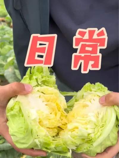 ��������ˮ��������#ԭ����Ƶ #�ҵ��������� #��ũ������ #һ�ݸ���һ���ջ� #��¼����