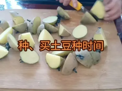 ʲôʱ����������ʲôʱ������������