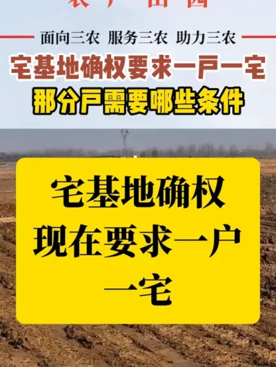 #��ũ #լ����ȷȨ #�¹� #��������