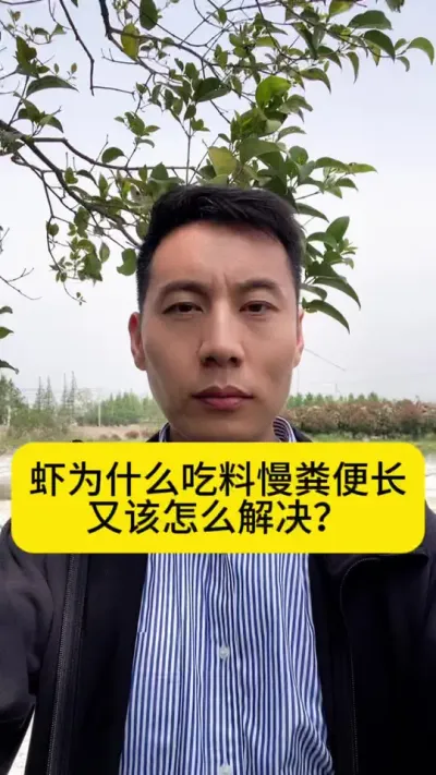 虾为什么吃料慢粪便长？又该怎么解决？#南美白对虾 #冬棚养虾 #小棚养虾 #工厂化养虾 #创作灵感