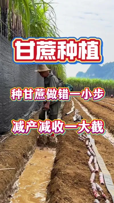 ����׷ʾ������ø��Ϸ��վ��л��������Ϸʾ���������15�վ�����17���յ׿��ܸ�����Ĳ�̫һ��#����ݪֲ#�������#����