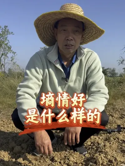 ��С������ִ������׼���#����ũҵ֪ʶ��ũ���������� #�����������Ļ���