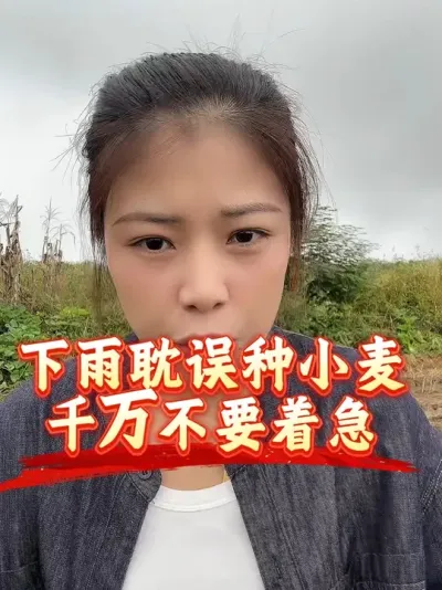 ����������ż�������������������Żᶪ#����ũҵ֪ʶ��ũ���������� #�����������Ļ��� #С��ݪֲ