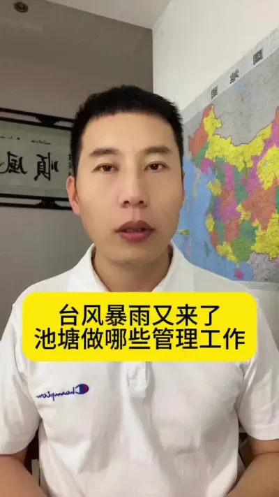 ̨�籩������������������������#ˮ����ֳ #�����׶�Ϻ #��Ϻ��ֳ #��Ϻ�� #�������