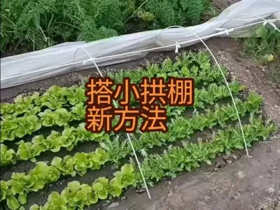 ����һ�ִС���Ϲ������Ҫ��