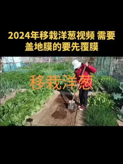 2024��������е���Ƶ