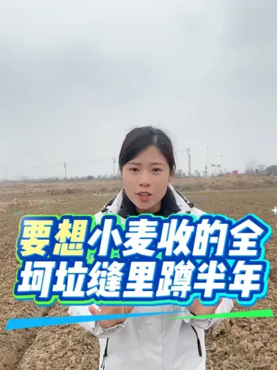 С�����Խ������������&ldquo;è��&rdquo;�����Ҳ�Ǻ���Ҫ��һ����Ϊ���괢������#����ũҵ֪ʶ��ũ���������� #�����������Ļ���