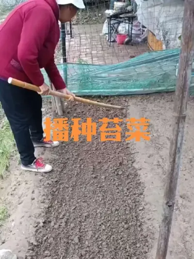 ������̦�˲�����#̦��