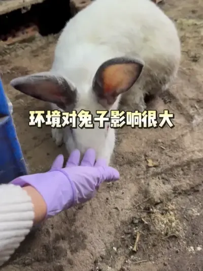 ����һ��ƽ������һ��Ҫ���� #������ #�������� #�������ֿ������߷ֿ����� #���������������� #��ũ��ֳ