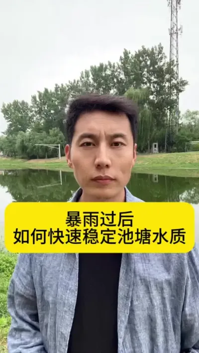 暴雨过后如何快速稳定池塘水质？#水产养殖 #南美白对虾养殖 #养虾人#水产养殖技术  #创作灵感