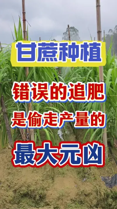 ����׷�ʲ�Ҫ�����ء���Ҫ�ø��Ϸʡ���Ҫ���л��ʡ���Ҫ��ţ���������ʧ��׷���Ǹ���������յ���ҪԵ��ԭ��#����ݪֲ#����ʩ��#����